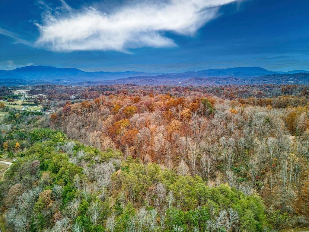 Bridgewood Cabin, Hot Tub, 1089 Of Free Attraction Tickets For Each Paid Day, Dollywood And More! Pigeon Forge Dış mekan fotoğraf